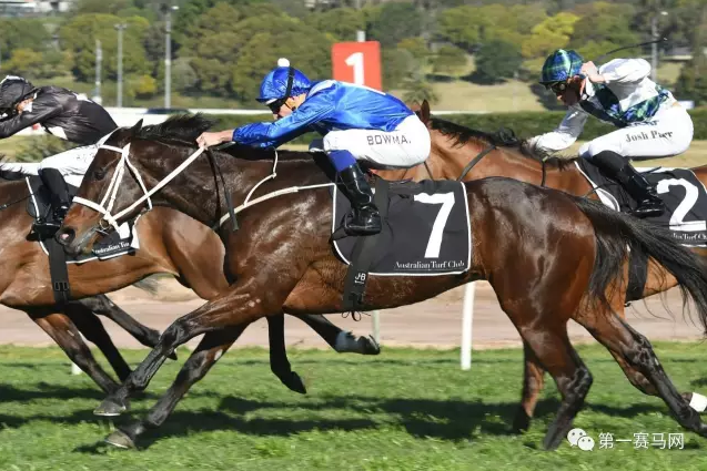 马耳他女子足球比赛中连胜成神话的简单介绍