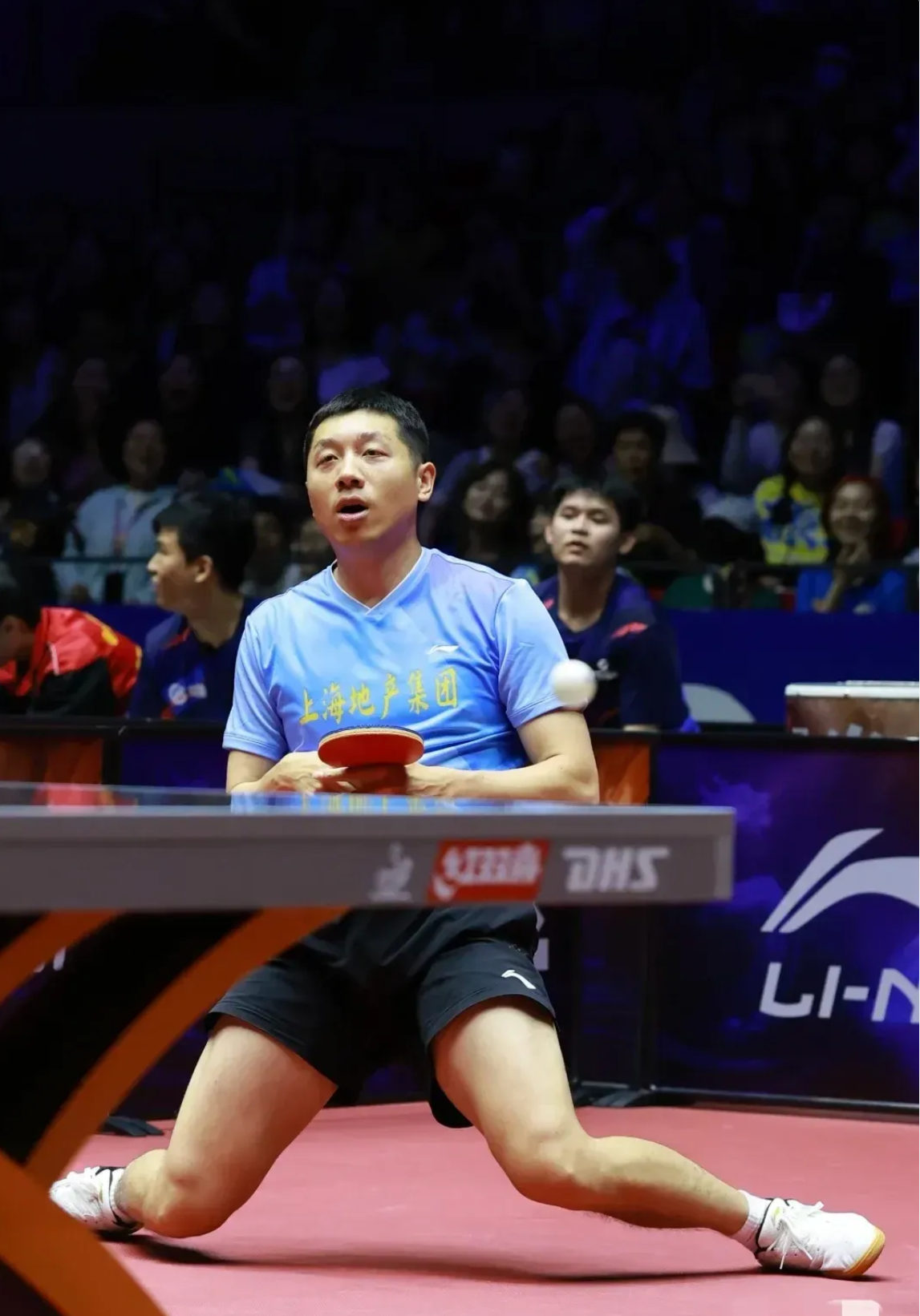 关于法国乒乓球队血洗瑞典乒乓球队，许昕惊艳世界的信息