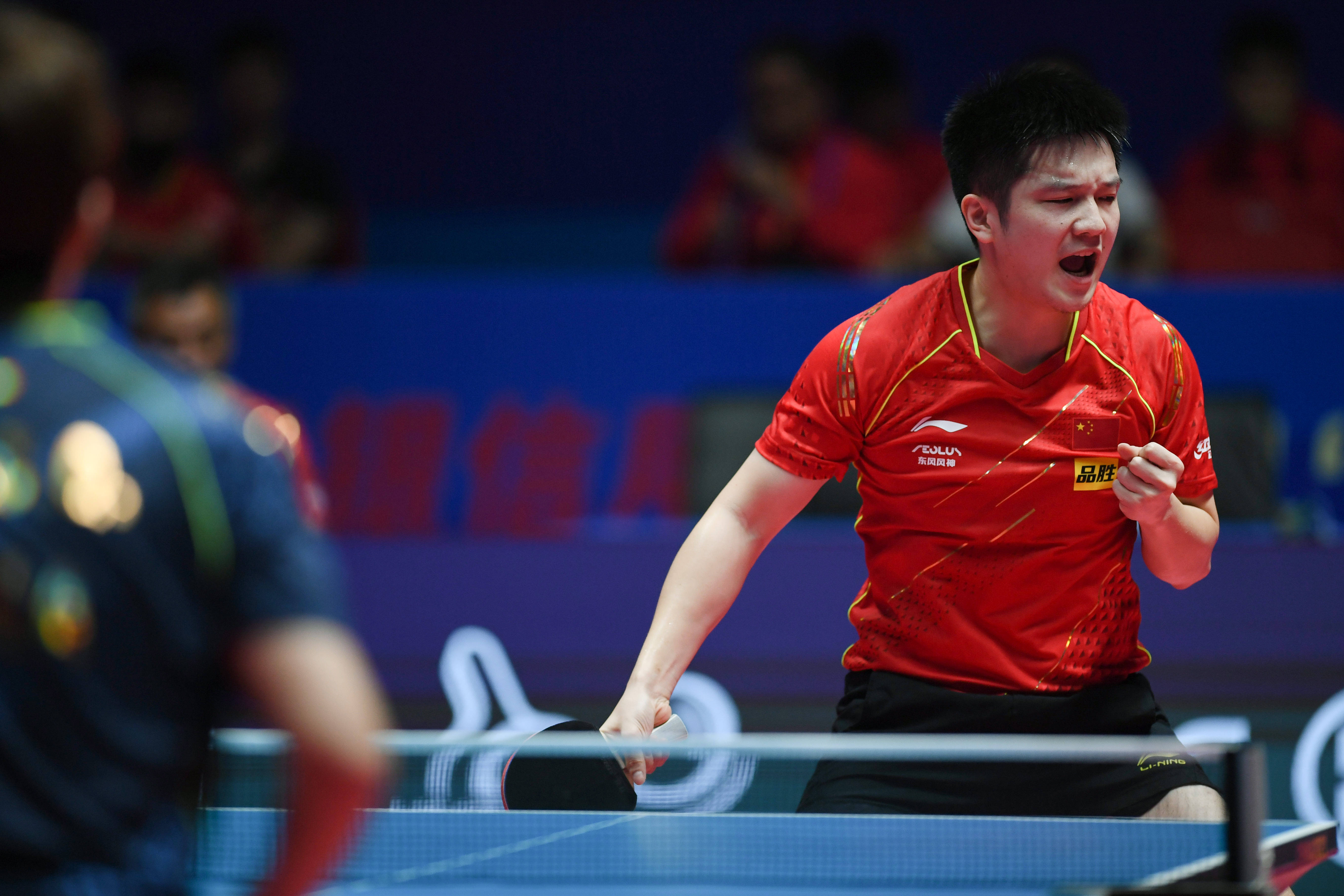 波兰乒乓球队险胜德国乒乓球队，樊振东关键制胜的简单介绍