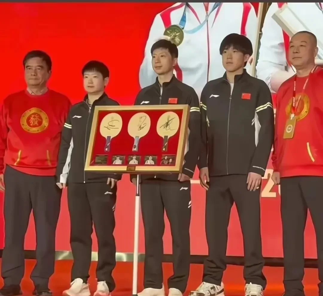 比利时乒乓球队力克法国乒乓球队，张继科送出助攻的简单介绍