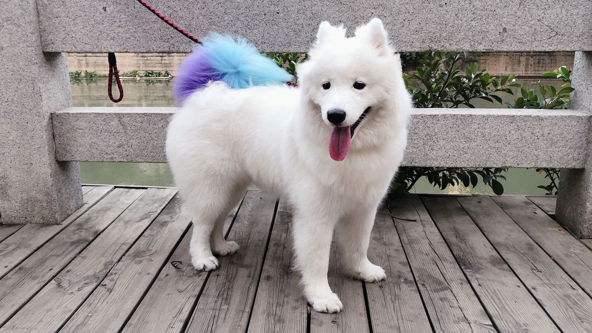 马克西末节爆砍24分!76人死里逃生拖入抢七