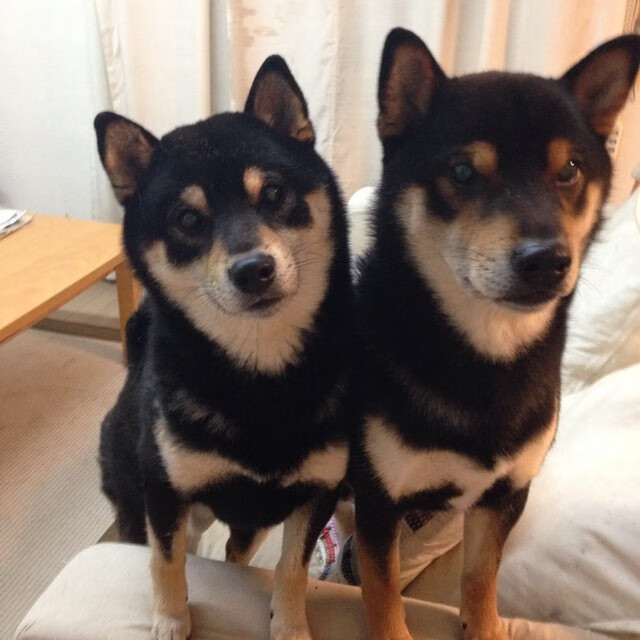 奇才火力全开压制魔术，浓眉关键先生定胜局