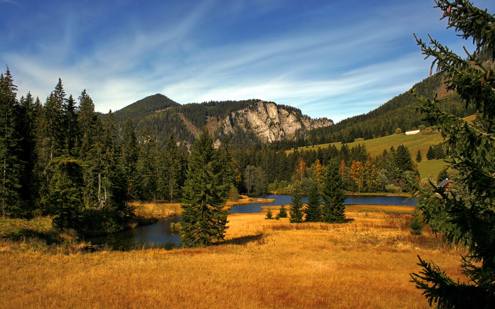 美加墨世界杯之夜，富安健洋闪电破门，让北美寒夜早早失去悬念