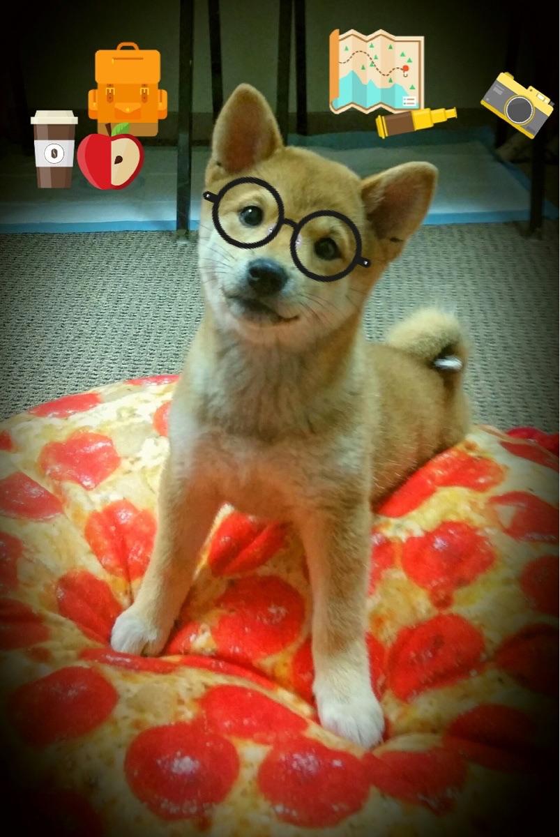 独行侠的音乐剧式逆袭,乔治如交响乐指挥,一波带走新疆队