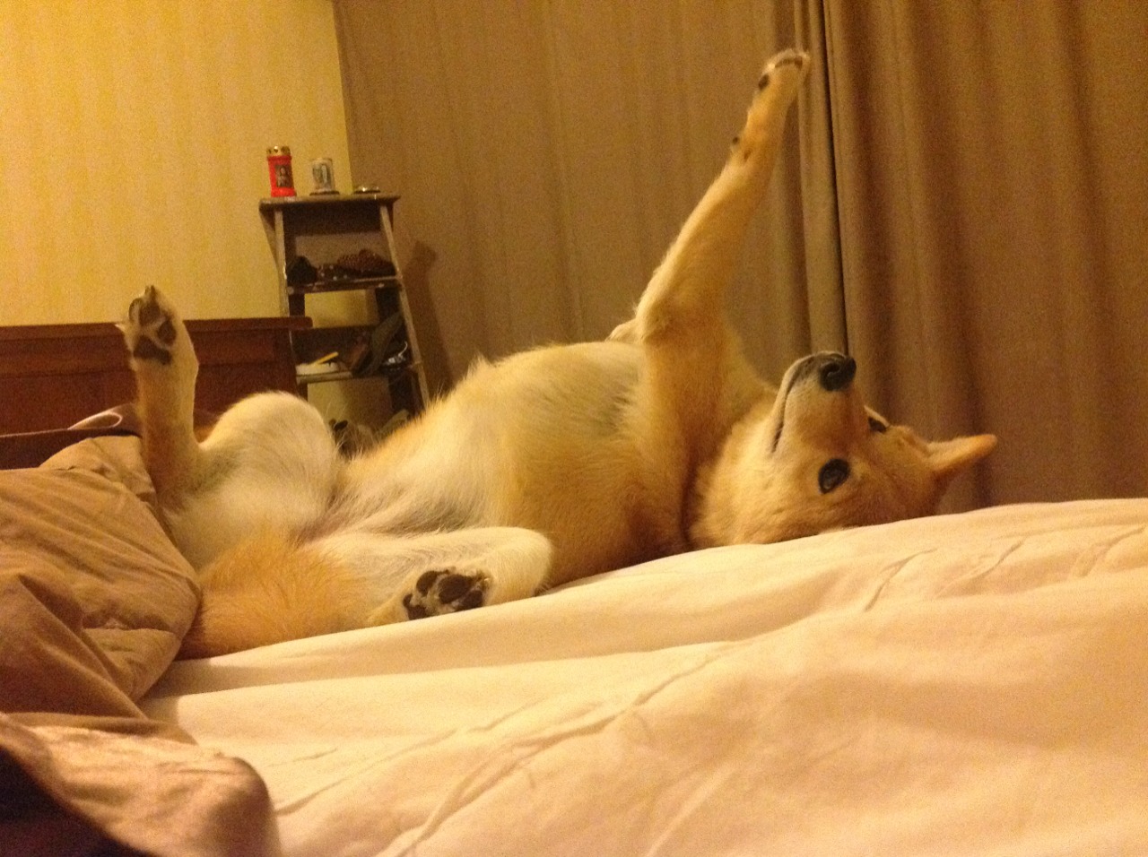 街道即王座,阿坎吉的夜战交响曲