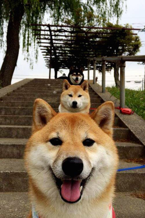 灰熊用铁血防守锁定胜局，杜兰特末节爆发化身关键先生