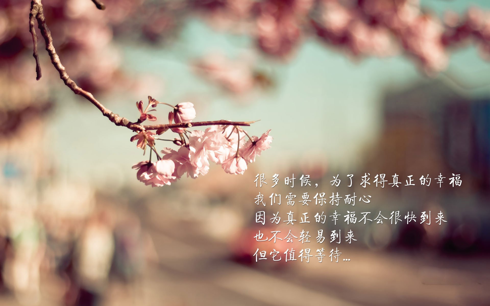 巨星觉醒！拉梅洛极限爆发助活塞跨联盟击溃广东