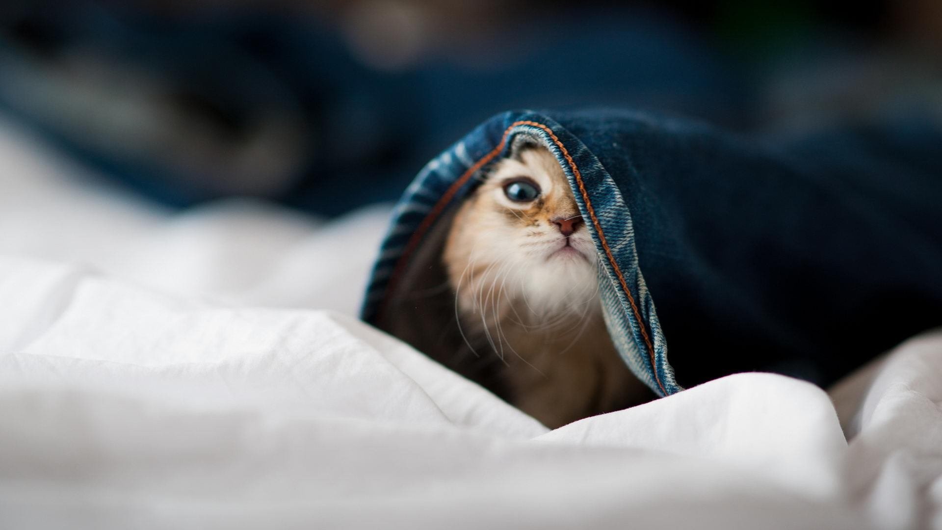 萨拉赫的魔力无人能挡，马赛正面风暴击溃玻利维亚防线