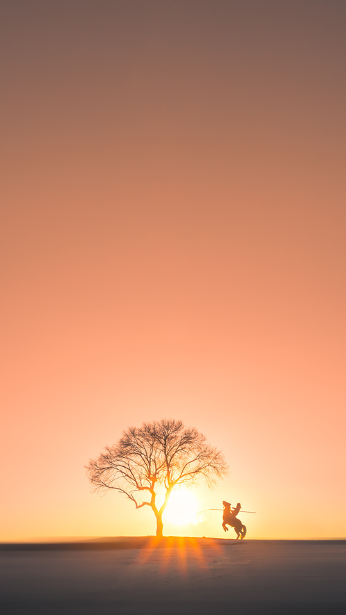 铁壁与利刃，独行侠用防守绞杀湖人，贝恩在沉默中爆发