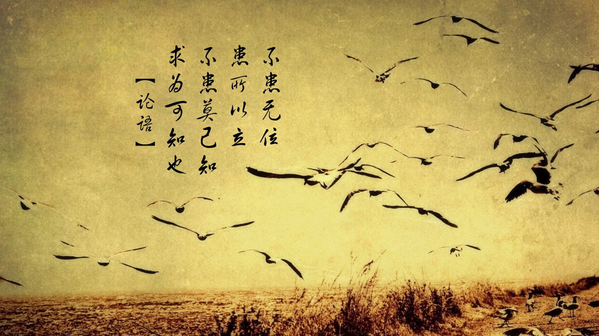 伊拉克震撼足坛，碾压巴萨之战，迪亚斯演绎教科书级表现