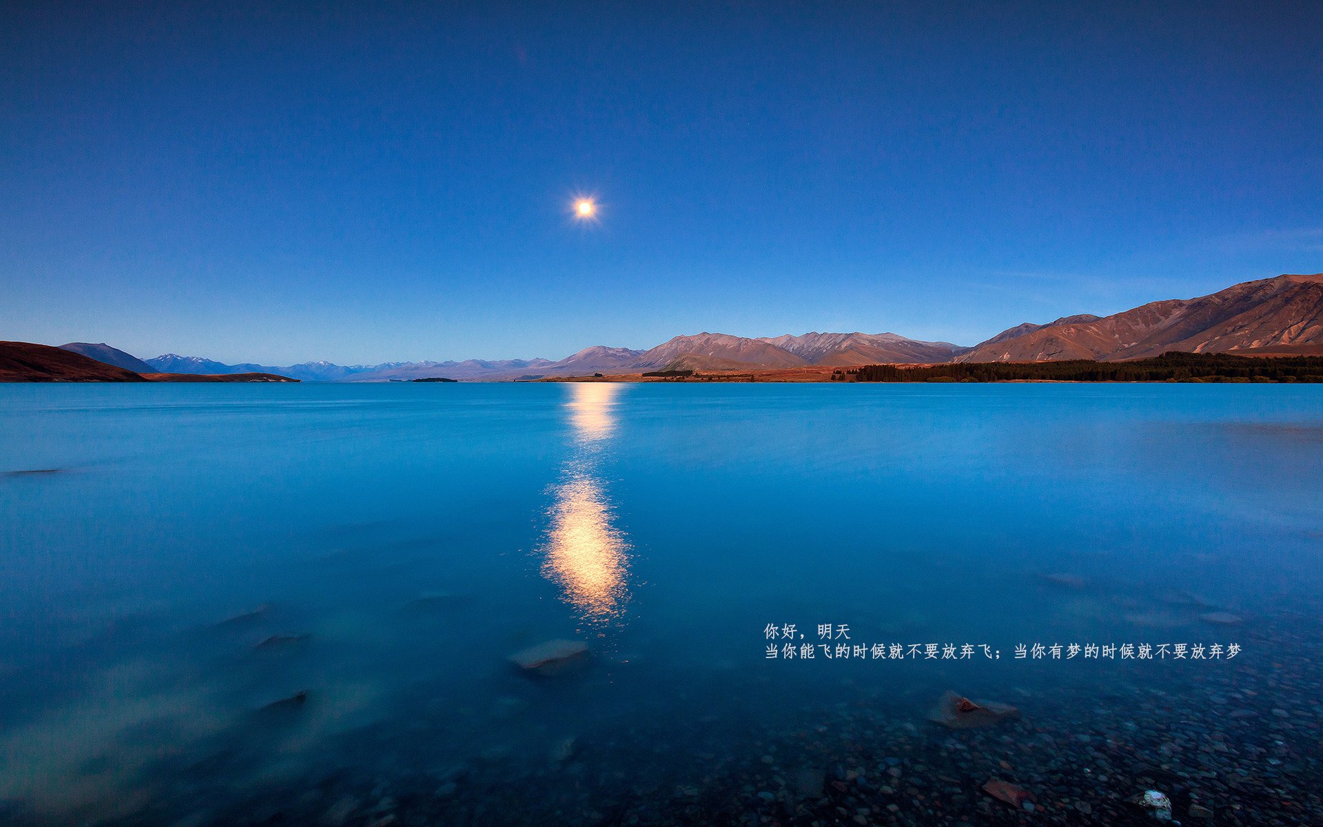 开云体育APP下载-莱万关键一击，国际米兰带走尤文