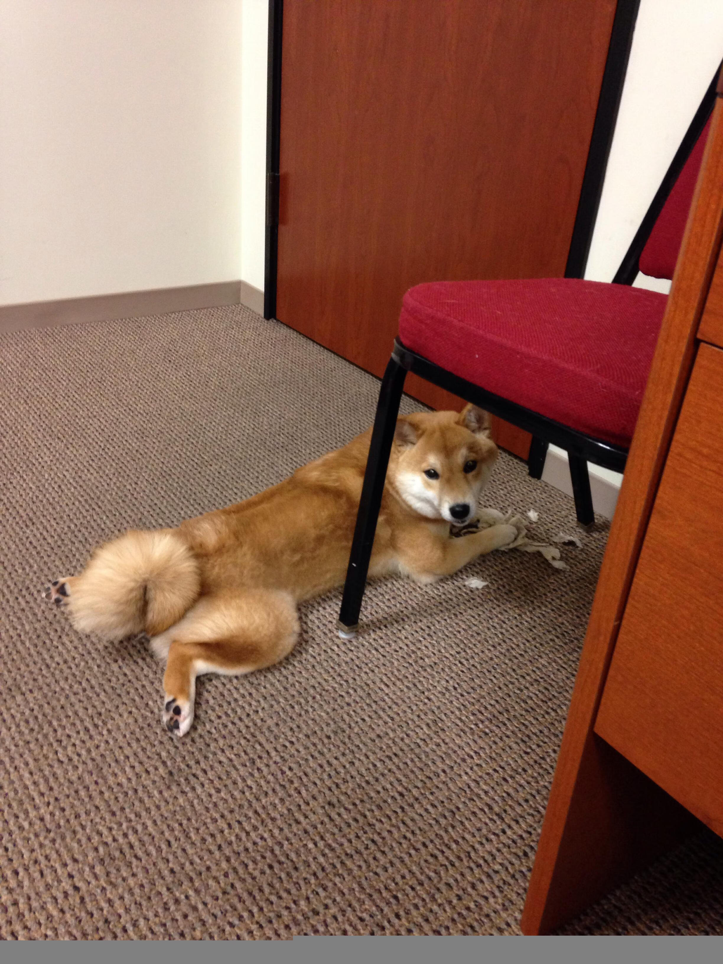 开云体育平台APP-新生代内线之巅！新疆苦战老鹰，切特关键战绝不手软